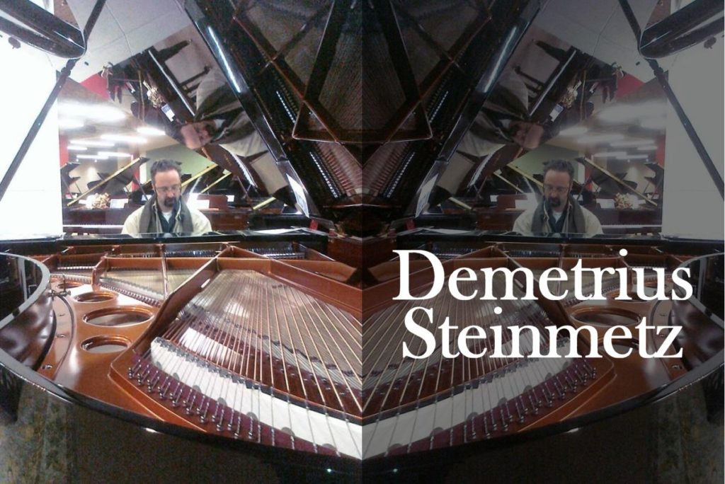 Demetrius Steinmetz logo
